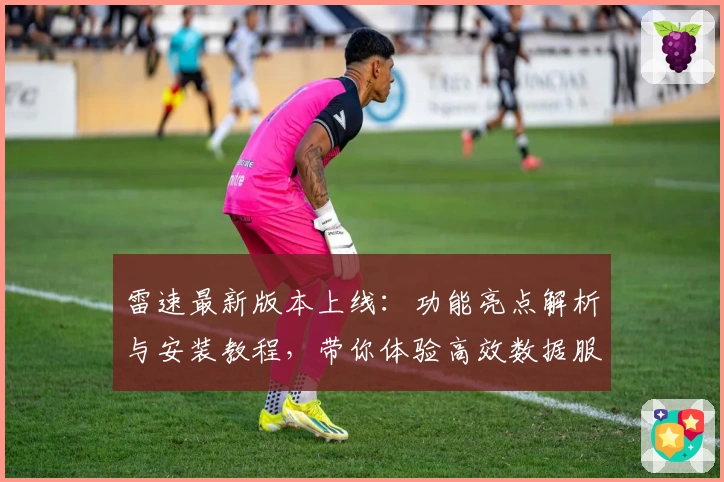雷速最新版本上线:功能亮点解析与安装教程,带你体验高效数据服务